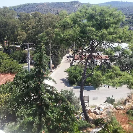 Sulo 3* פטארה