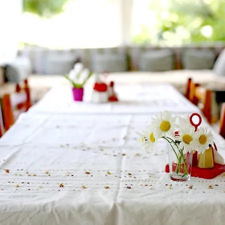 Guest house Sulo