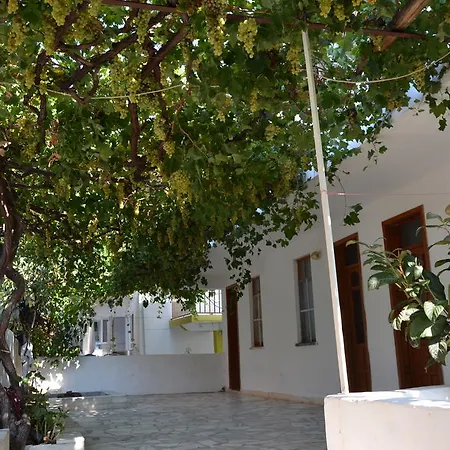 Sulo Guest house