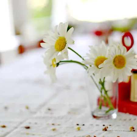 Sulo 酒店 帕塔拉